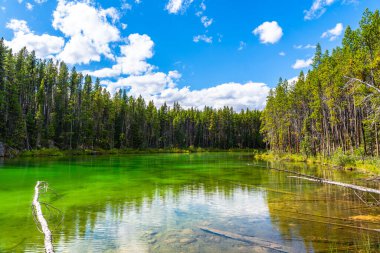 Herbert Gölü 'nün zümrüt yeşili suları bulutlu mavi gökyüzünü yansıtıyor ve Banff Ulusal Parkı' ndaki çam ormanı, Alberta, Kanada 'da sakin ve manzaralı bir manzara yaratıyor.