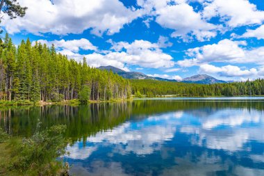 Durgun su mavi gökyüzünü ve Herbert Gölü 'nün üzerindeki beyaz bulutları yansıtır. Banff Ulusal Parkı' ndaki kozalaklı ağaçlar ve dağlar, Kanada kayaları, alberta, Kanada...