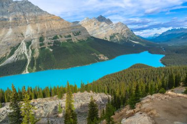 Peyton Gölü 'nün turkuaz suyu Banff Ulusal Parkı' ndaki dağlar ve ormanlarla çevrili bir vadiden akar ve güneşli bir yaz gününde nefes kesici bir doğal manzara yaratır.