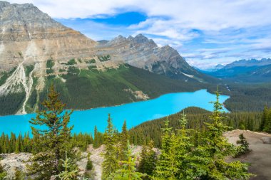Turkuaz Peyton Gölü Banff Milli Parkı 'nda yaz güneşinin altında parıldıyor. Etrafı yemyeşil bitki örtüsü ve Kanadalı heybetli kayalıklarla çevrili.