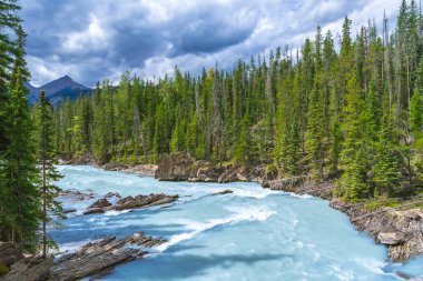 Turkuaz su, yeşil çam ağaçları ve bulutlu gökyüzü ile çevrili Banff Ulusal Parkı, Alberta, Kanada 'daki körfez nehir doğal köprüsünden akar.
