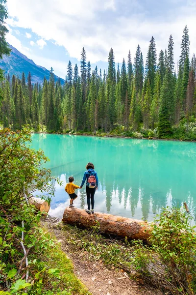 Turistler, Banff Ulusal Parkı, Alberta, Kanada 'daki verimli çam ormanı ve görkemli dağlarla çevrili zümrüt gölünün turkuaz suyunun nefes kesici manzarasının keyfini çıkarıyorlar.