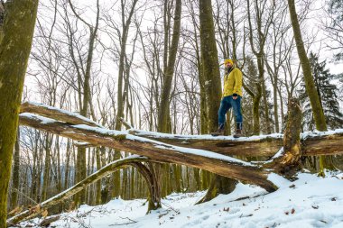 Kışlık giysiler giyen bir adam karla kaplı büyük bir ağaç gövdesinde dikiliyor, soğuk hava koşullarında huzurlu ve maceraperest bir orman manzarasının tadını çıkarıyor.