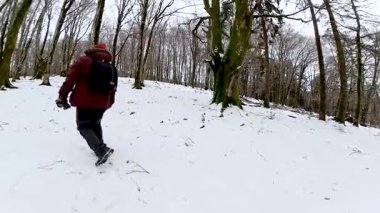 Sırt çantalı genç adam kış boyunca el değmemiş, karla kaplı bir ormanda yürüyüş yapıyor, doğanın yalnızlığının ve güzelliğinin tadını çıkarırken taze tozda ayak izleri bırakıyor.