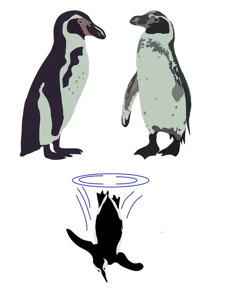 El pingüino negro — Vector de stock