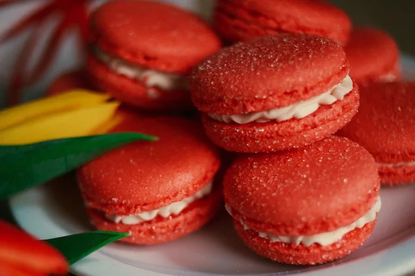 Macarons — Stock Photo, Image