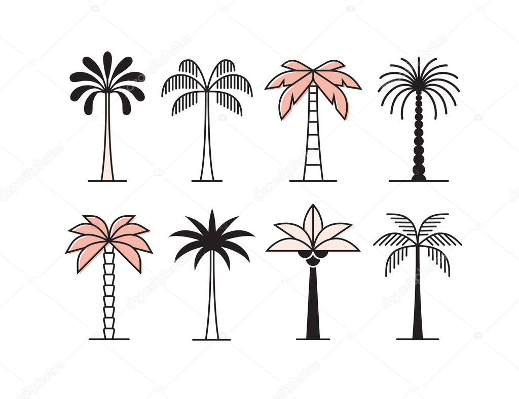 Graphic palm tree icon, logo set. Tropical plants collection.