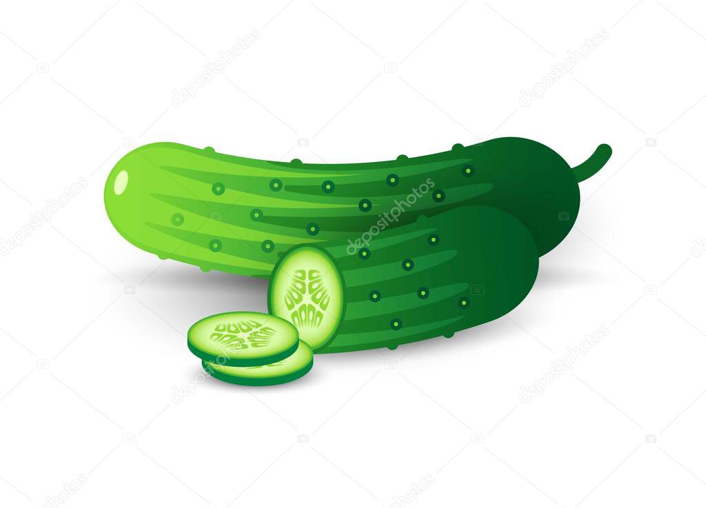 Whole and sliced cucumber vector illustration. Healthy, vegetarian food, salad ingredient.