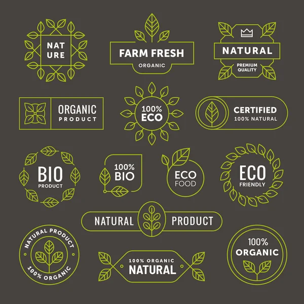 有机线形徽章 生态和生物产品线图标 素食符号 绿叶标识 — 图库矢量图片