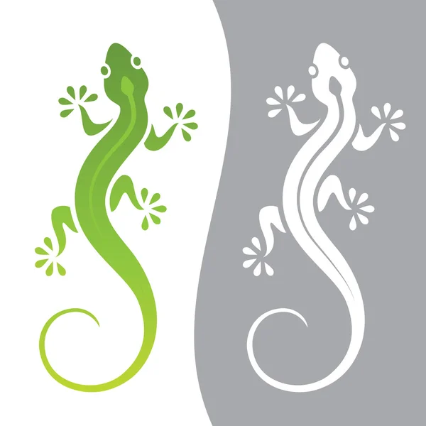 Featured image of post Gecko Drawings Cute Gecko free vector we have about 76 files free vector in ai eps cdr svg vector illustration graphic art design format
