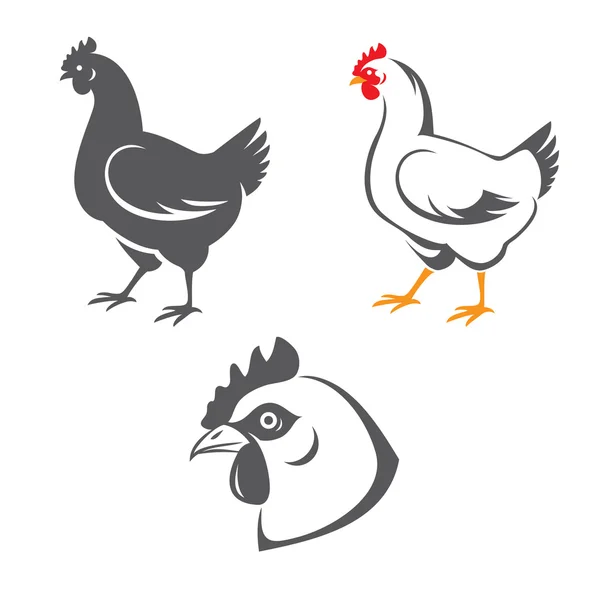 Pollo — Vector de stock