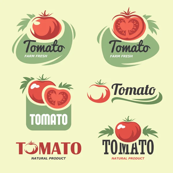 Tomato — Stock Vector