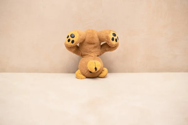 Oso Peluche Está Pie Sobre Cabeza Sofá Una Visión Diferente —  Fotos de Stock