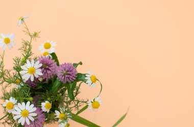 Yonca buketi ve papatya çayı şeftali arka planına yakın durur. Seçici odaklanma. Bahar, yaz konsepti. Kopyalama alanı olan tebrik kartı.