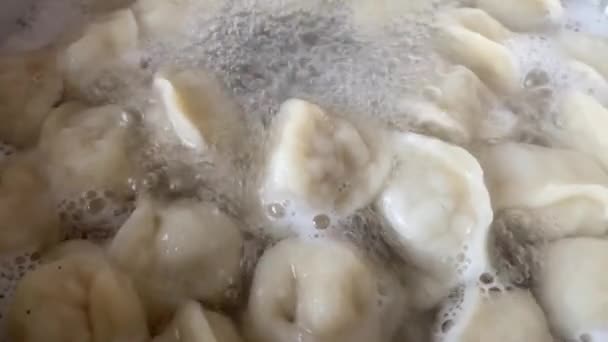 Processen för matlagning dumplings närbild. — Stockvideo