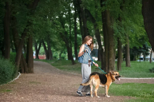 Spaziergang im Park mit Hund — Stockfoto