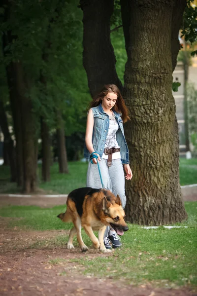 Berjalan di taman dengan anjing — Stok Foto