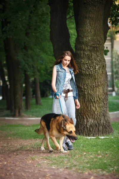 Passeggiata nel parco con un cane — Foto Stock