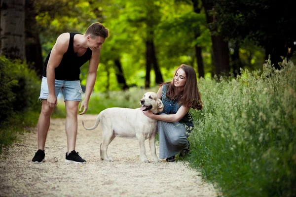 Walk in the park with a dog — Stock Photo, Image