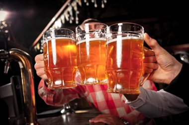 Mutlu arkadaş barda bira bardağı ile sorun, 