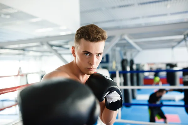 Actie bokser handschoenen in opleiding houding — Stockfoto