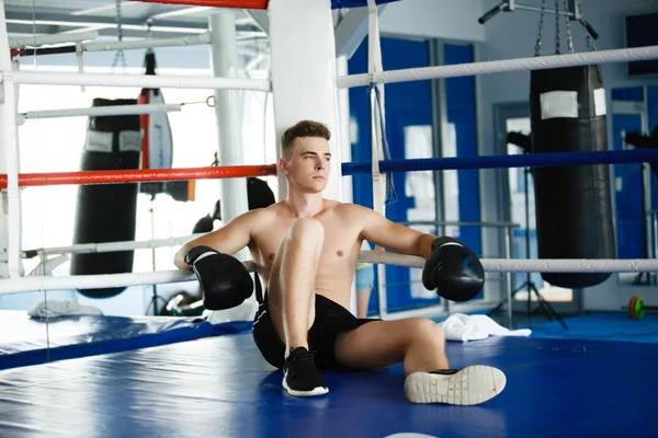 Luvas de boxer de ação em atitude de treinamento — Fotografia de Stock
