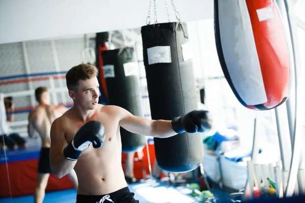 Action boxer gloves in training attitude — Stock Photo, Image