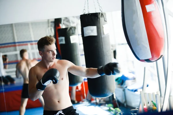 Luvas de boxer de ação em atitude de treinamento — Fotografia de Stock