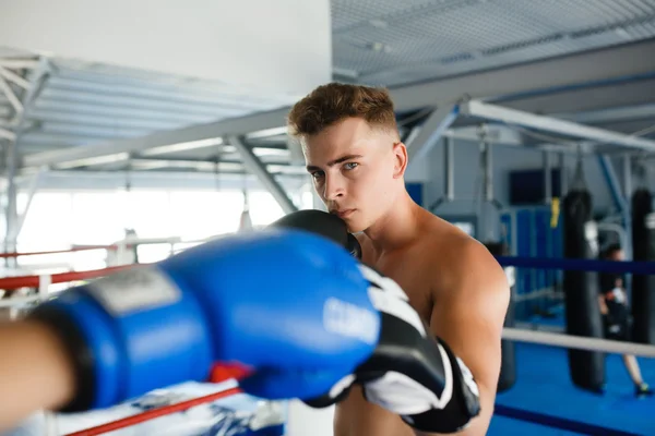 Actie bokser handschoenen in opleiding houding — Stockfoto