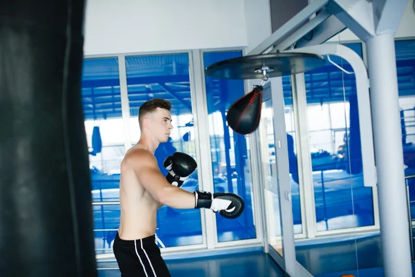 Боксерські рукавички в тренувальному відношенні — стокове фото