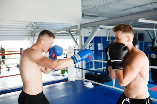 Sterke bokser en tegenstander tijdens een gevecht vak in ring Rechtenvrije Stockafbeeldingen