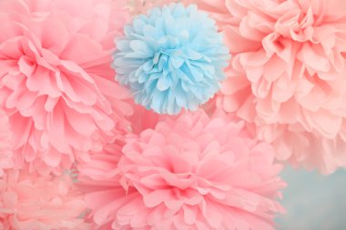 Tamam yakın çekim, pembe ve mavi.