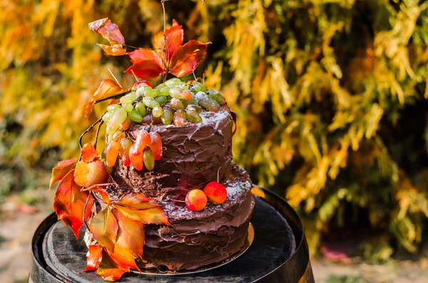 ブドウとオランで飾られて美しいデザイナーのチョコレート ケーキ — ストック写真