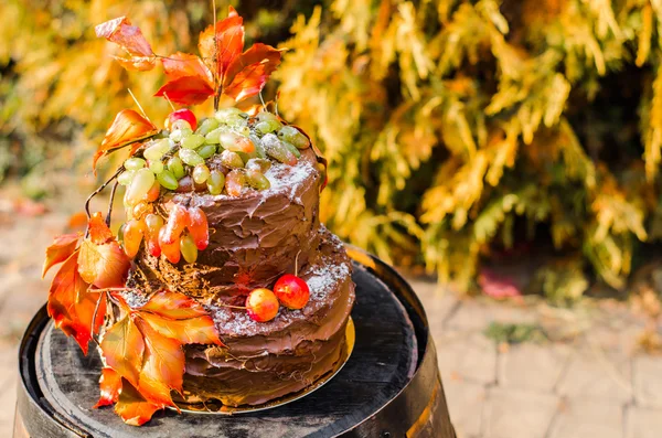 Красивый шоколадный торт, украшенный виноградом и ораном — стоковое фото