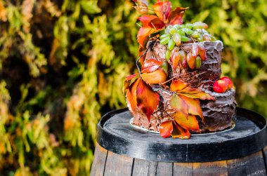 güzel tasarımcı çikolatalı kek dekore edilmiş üzüm ve oran