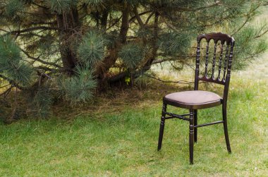 Bir ahşap sandalye ayakta çam yakınındaki yeşil çimenlerin üzerinde.