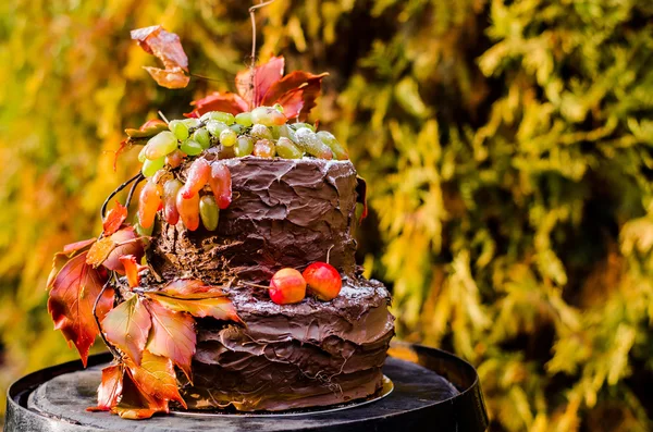 ブドウとオランで飾られて美しいデザイナーのチョコレート ケーキ — ストック写真