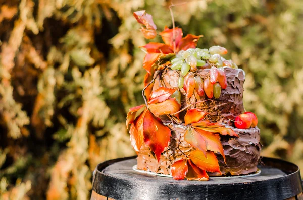 Красивый шоколадный торт, украшенный виноградом и ораном — стоковое фото