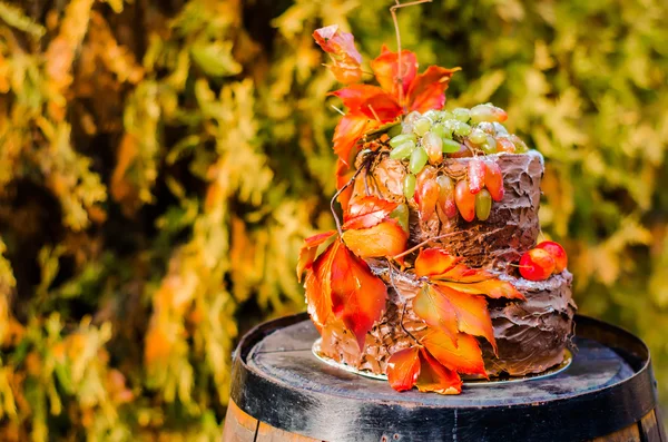 Güzel tasarımcı çikolatalı kek dekore edilmiş üzüm ve oran — Stok fotoğraf