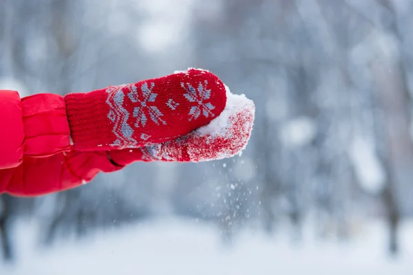 Mão feminina em mitenes vermelhas com neve . — Fotografia de Stock
