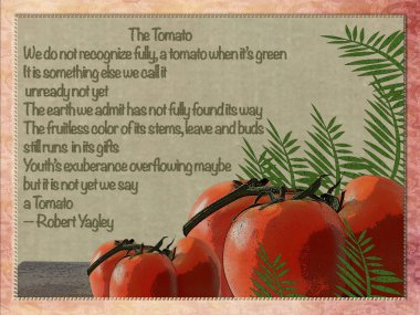 The Tomato clipart