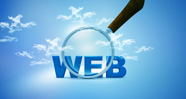 Web ve Büyüteç camı — Stok fotoğraf