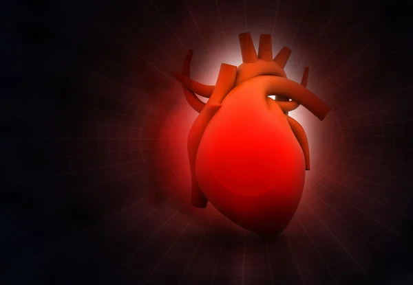 Human heart — Stock Photo, Image