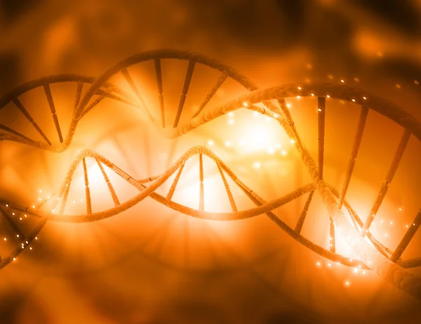 DNA-strukturen — Stockfoto