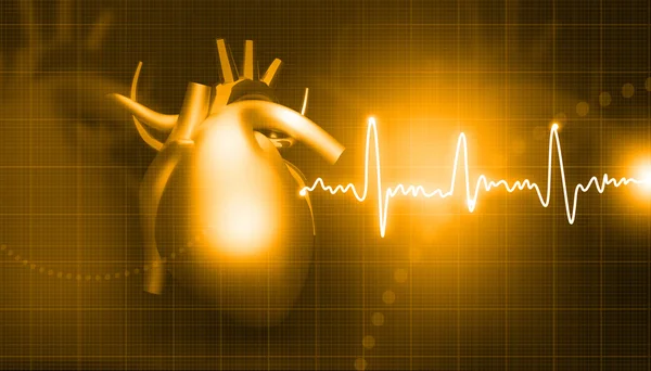 Human heart — Stock Photo, Image