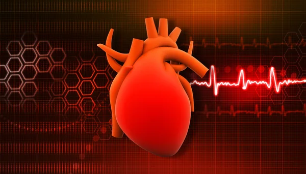 Human heart — Stock Photo, Image