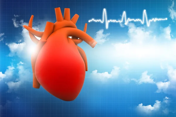 Human heart — Stock Photo, Image