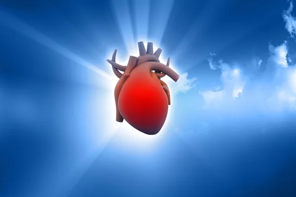 Cuore umano — Foto Stock