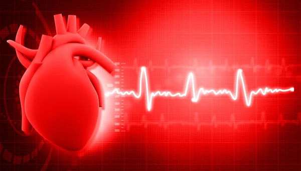 Human heart — Stock Photo, Image