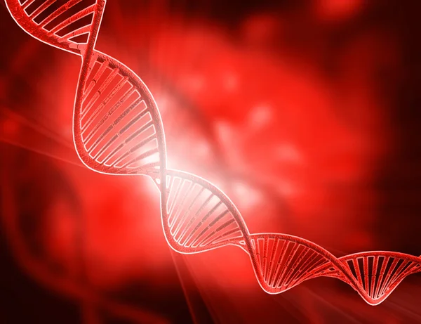 DNA structure — Stock Photo, Image